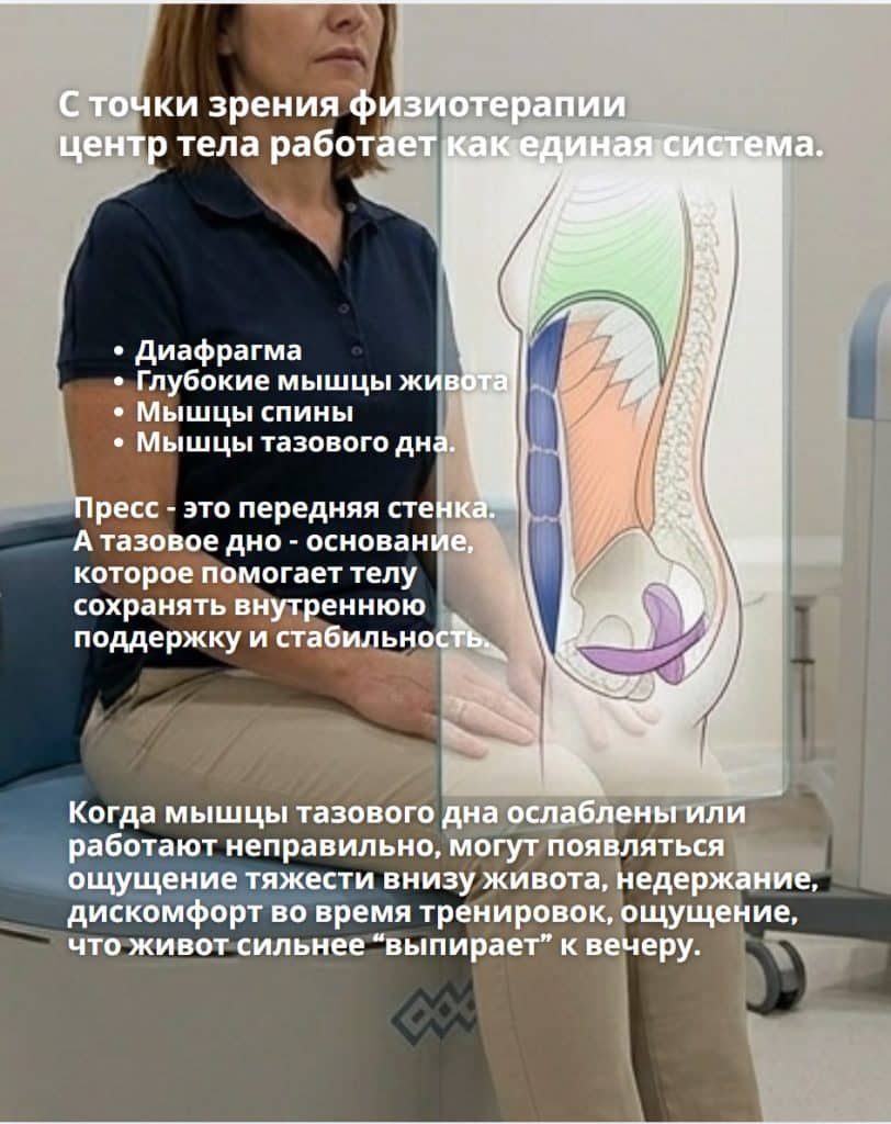 Анатомия Тазового Дна