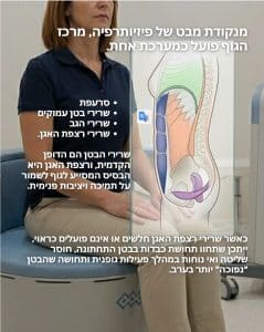 למה שרירי הבטן הם רק חצי מהעניין