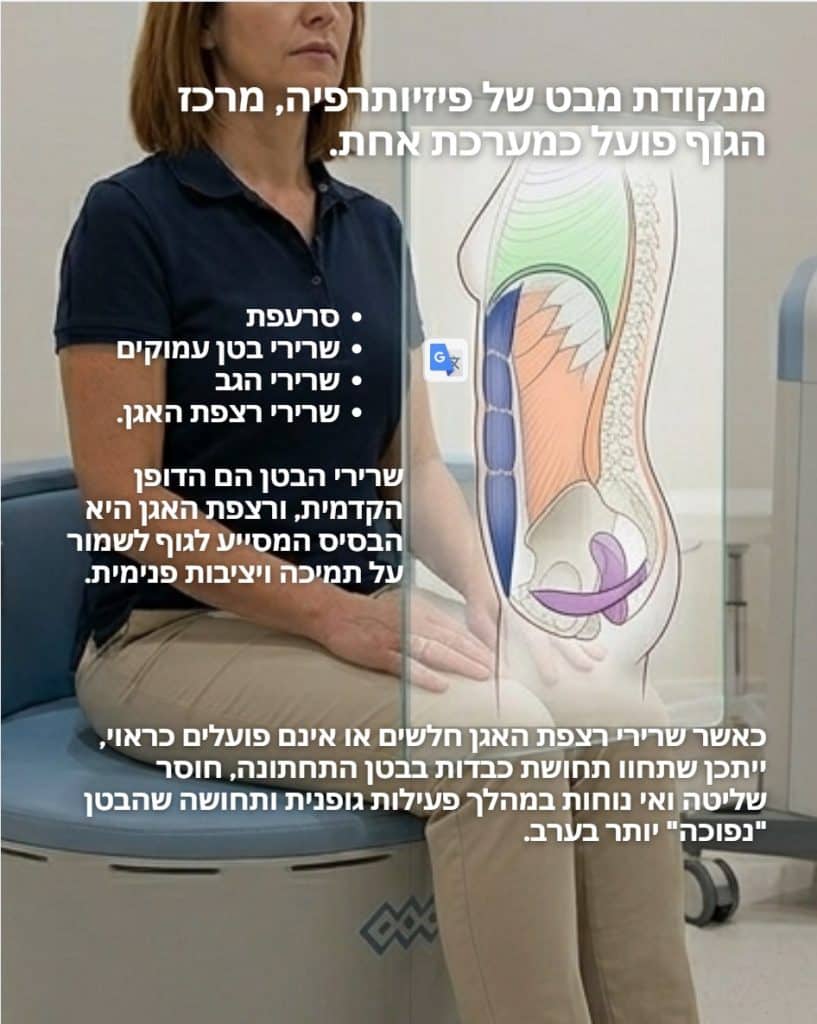 למה שרירי הבטן הם רק חצי מהעניין